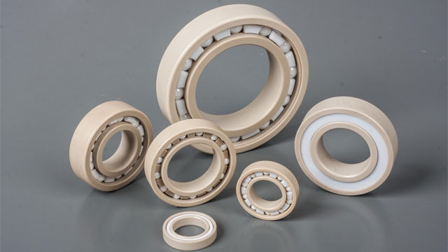 PEEK Bearings